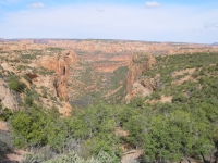 Tsegi Canyon